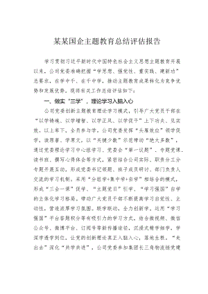 某某国企主题教育总结评估报告.docx