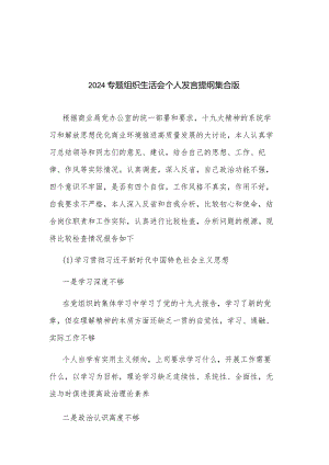 2024专题组织生活会个人发言提纲集合版.docx
