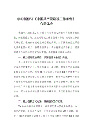 乡干部学习贯彻2024版新修订《中国共产党巡视工作条例》学习体会交流发言11篇.docx