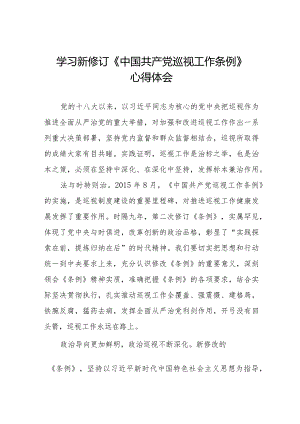 学习2024版新修订《中国共产党巡视工作条例》心得体会11篇.docx