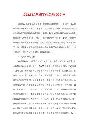 2022试用期工作总结900字.docx