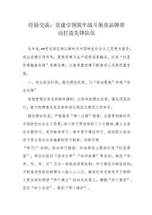 经验交流：党建引领筑牢战斗堡垒品牌带动打造先锋队伍.docx