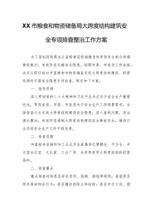 XX市粮食和物资储备局大跨度结构建筑安全专项排查整治工作方案.docx