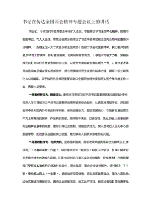 书记在传达全国两会精神专题会议上的讲话.docx