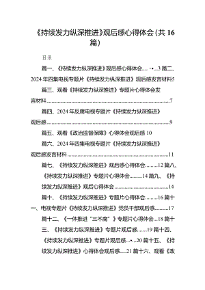 《持续发力纵深推进》观后感心得体会范文16篇（完整版）.docx