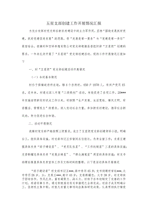 五星支部创建工作开展情况汇报.docx