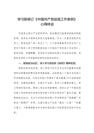 学习2024版新修订中国共产党巡视工作条例心得体会优秀(十三篇).docx