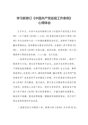 学习2024版新修订中国共产党巡视工作条例心得体会交流发言11篇.docx