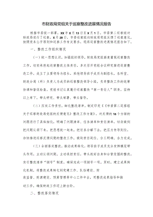 市财政局党组关于巡察整改进展情况报告.docx
