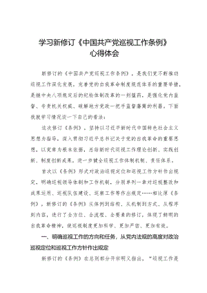 学习新修订中国共产党巡视工作条例2024版心得体会(十三篇).docx