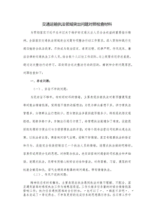 交通运输执法领域突出问题对照检查材料.docx