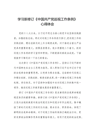 2024街道学习贯彻新修订《中国共产党巡视工作条例》心得体会11篇.docx
