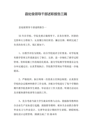 县处级领导干部述职报告三篇.docx