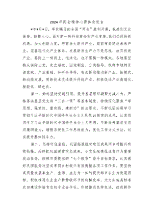 2024年两会精神心得体会发言.docx