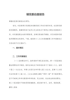 镇党委自查报告.docx