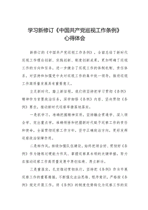 学习新修订《中国共产党巡视工作条例2024版》心得体会(十三篇).docx