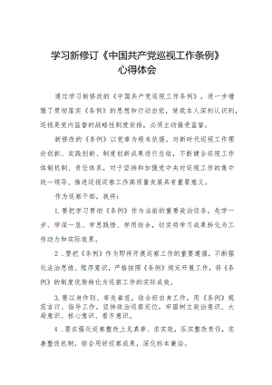 学习新修订中国共产党巡视工作条例(2024版)心得体会11篇.docx