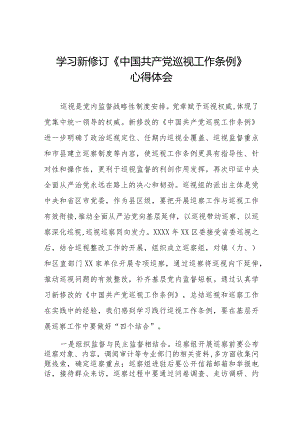 九篇2024学习新修改的《中国共产党巡视工作条例》的心得体会感悟.docx