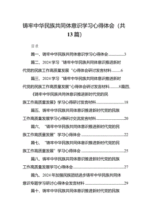 铸牢中华民族共同体意识学习心得体会13篇（精选版）.docx