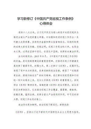 九篇2024年学习新修改《中国共产党巡视工作条例》心得体会.docx