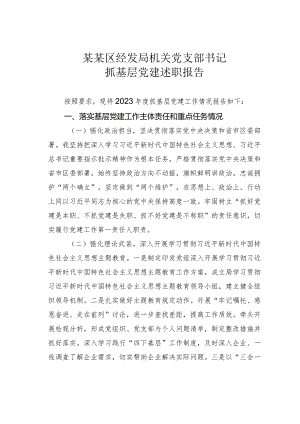 某某区经发局机关党支部书记抓基层党建述职报告.docx