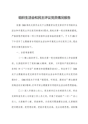 组织生活会和民主评议党员情况报告.docx