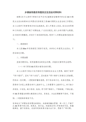 乡镇宣传委员专题民主生活会对照材料.docx