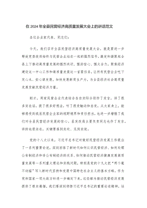 在2024年全县民营经济高质量发展大会上的讲话范文.docx