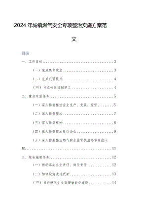 2024年城镇燃气安全专项整治实施方案范文.docx