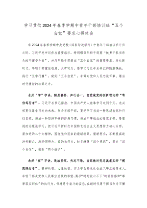 学习贯彻2024年春季学期中青年干部培训班“五个自觉”要求心得体会.docx