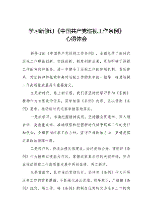 2024新修订中国共产党巡视工作条例》心得体会精品范文11篇.docx
