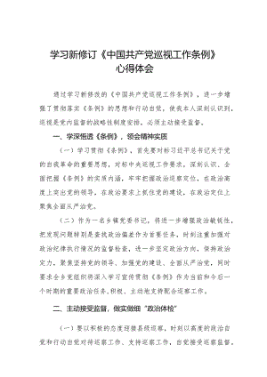 镇长书记学习2024新修订《中国共产党巡视工作条例》心得体会8篇.docx