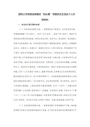 国有公司党委巡察整改“回头看”专题民主生活会个人对照材料.docx