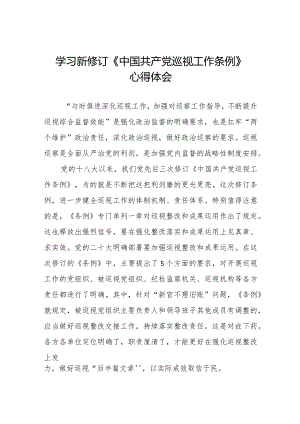 学习贯彻2024版新修订中国共产党巡视工作条例的心得体会(十三篇).docx