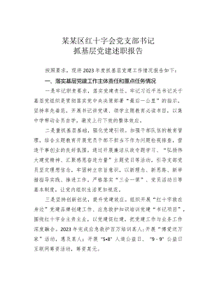 某某区红十字会党支部书记抓基层党建述职报告.docx
