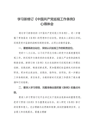 学习新修订《中国共产党巡视工作条例》感想体会11篇.docx