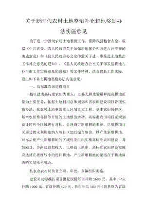 关于新时代农村土地整治补充耕地奖励办法实施意见.docx