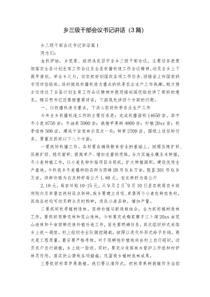 乡三级干部会议书记讲话（3篇）.docx