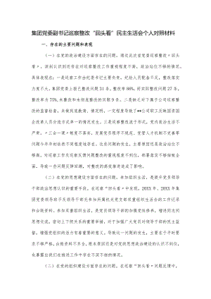 集团党委副书记巡察整改“回头看”民主生活会个人对照材料.docx