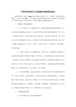 市财政局党组关于巡察整改进展情况报告.docx