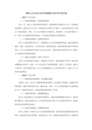 某乡人大2023年工作总结及2024年工作计划.docx