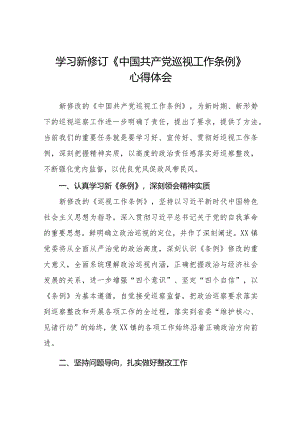 学习贯彻新修订《中国共产党巡视工作条例》的心得体会(十三篇).docx