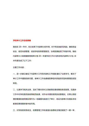 学校审计工作总结模板.docx