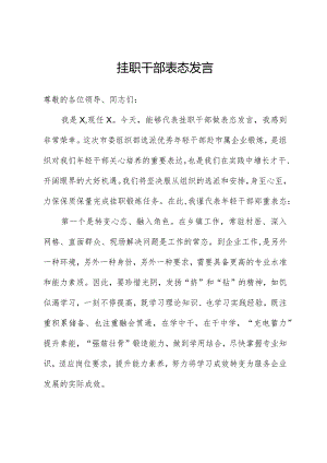 挂职干部表态发言.docx