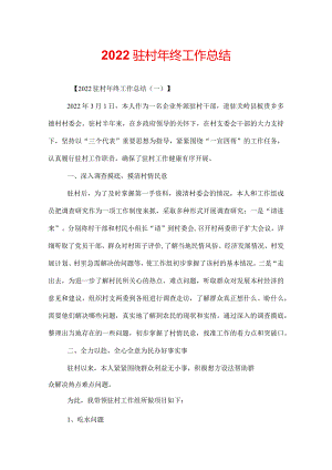 2022驻村年终工作总结.docx