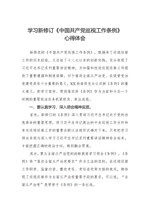 九篇2024年新修改《中国共产党巡视工作条例》的心得体会.docx