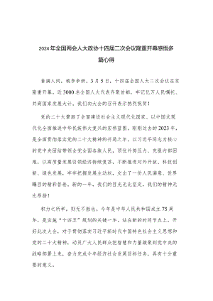 2024年全国两会人大政协十四届二次会议隆重开幕感悟多篇心得.docx