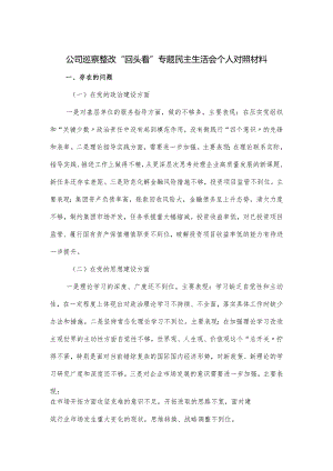 公司巡察整改“回头看”专题民主生活会个人对照材料.docx