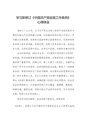 学习2024版新修订《中国共产党巡视工作条例》心得体会(十三篇).docx