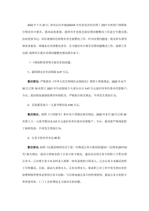 县发展和改革局关于审计报告反馈问题整改情况的报告.docx